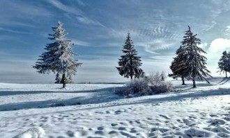 欧联杯决赛或成曼联赛季转折点